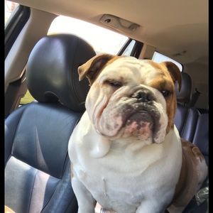 Meet your Posher, Joel